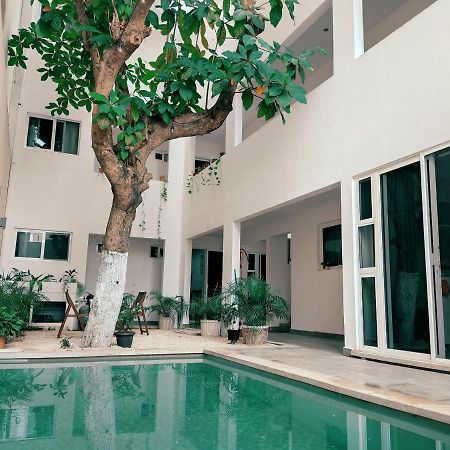 Cozy Studios Zazil-Ha Playa del Carmen Dış mekan fotoğraf