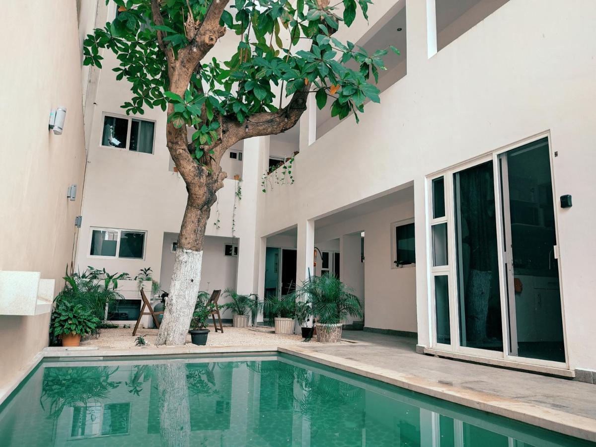 Cozy Studios Zazil-Ha Playa del Carmen Dış mekan fotoğraf