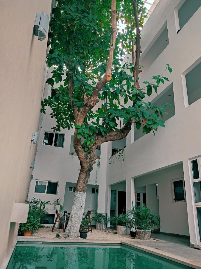 Cozy Studios Zazil-Ha Playa del Carmen Dış mekan fotoğraf