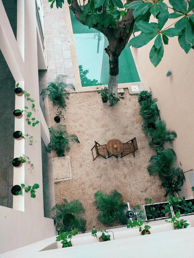 Cozy Studios Zazil-Ha Playa del Carmen Dış mekan fotoğraf